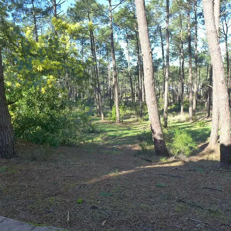 Les Palombes-3 By Interhome Ferienhaus