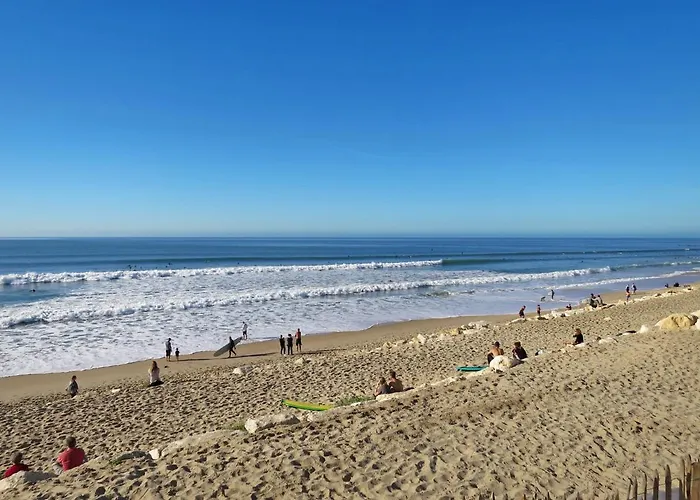 Semesterbostad Les Palombes-3 By Interhome *